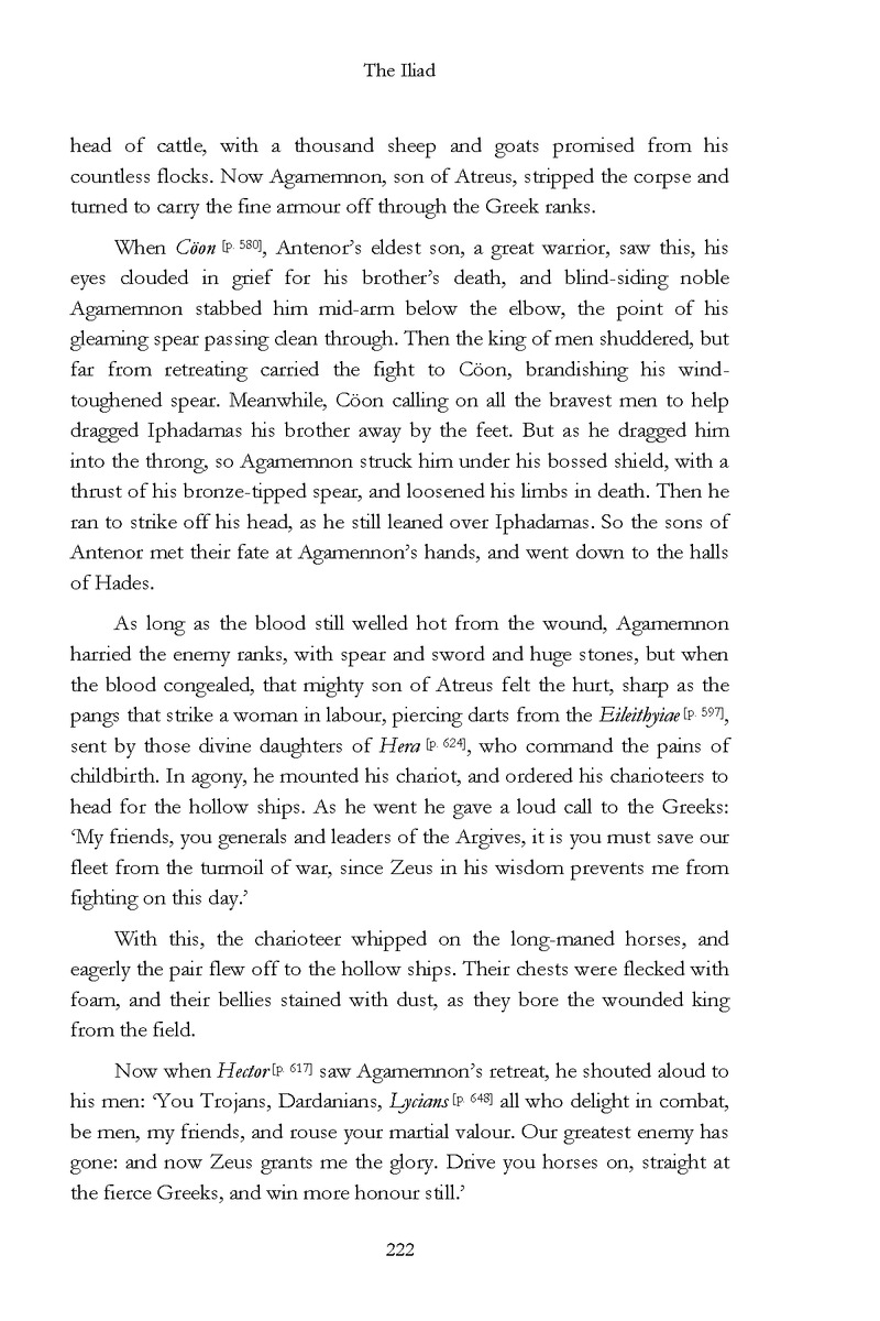 The Iliad - Page 216